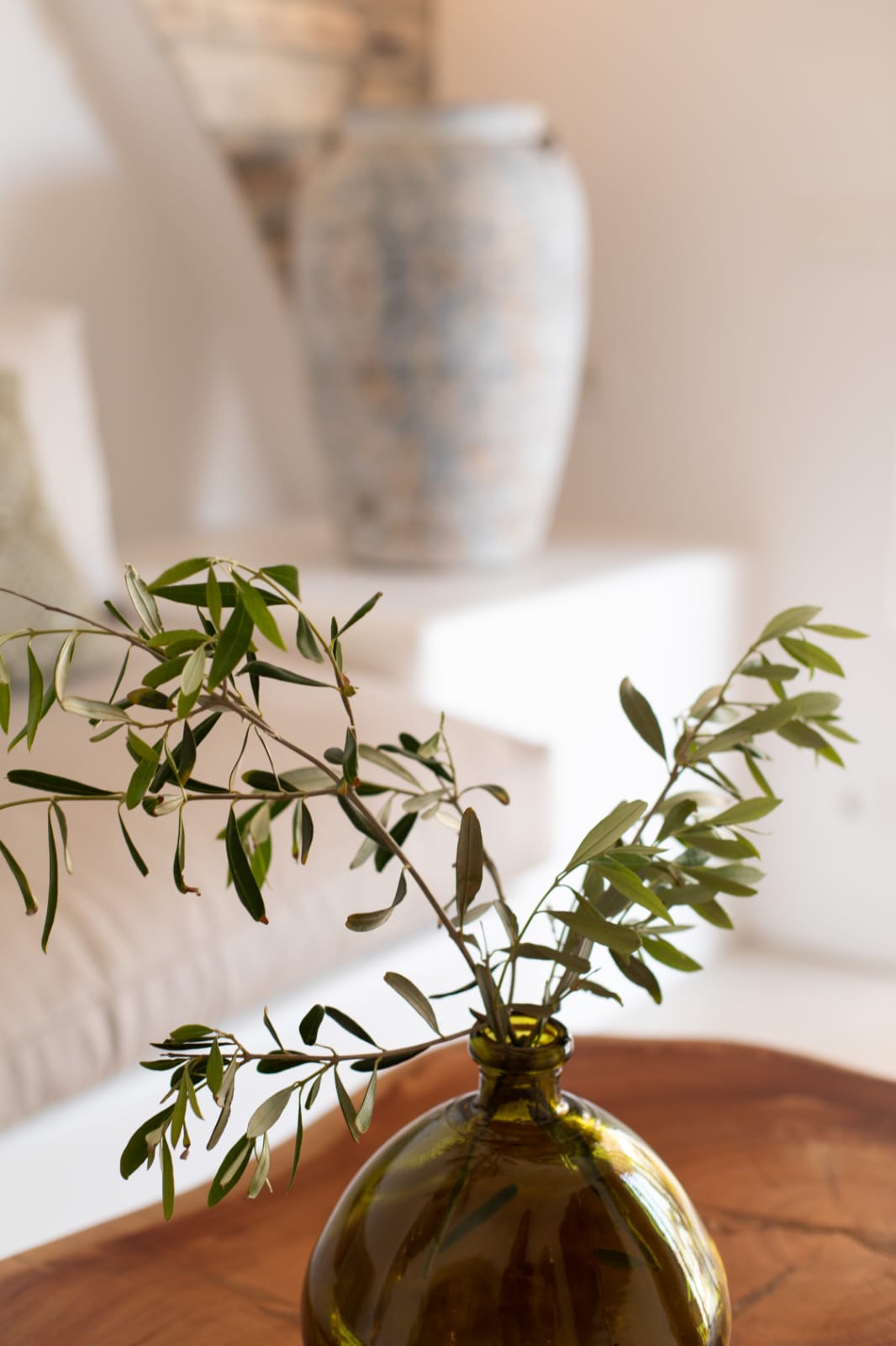 Levantes House Mykonos garden